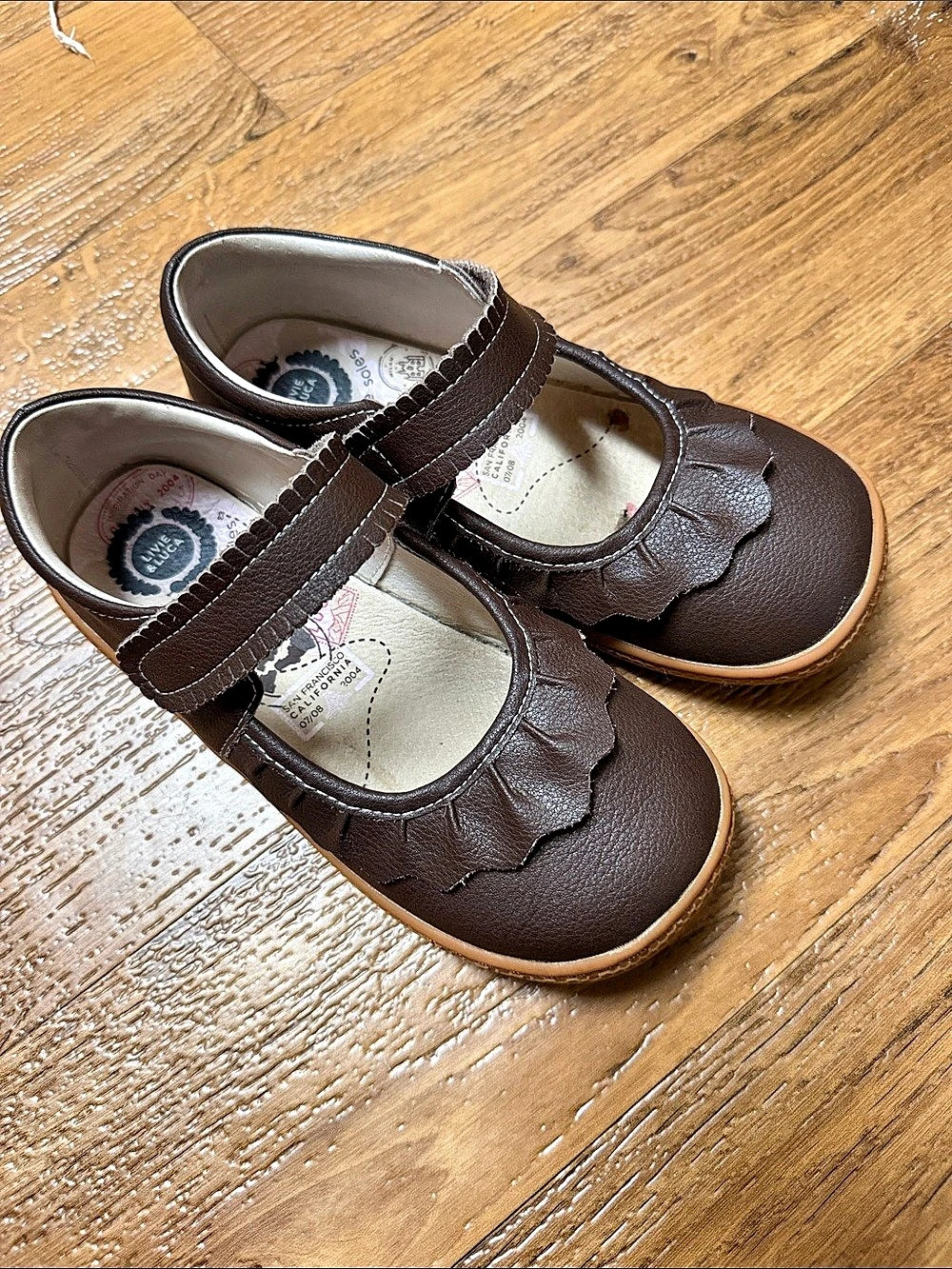 Livie & Luca Ruche Girls Brown Mary Jane Shoes US 1